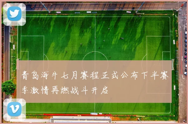 青岛海牛七月赛程正式公布下半赛季激情再燃战斗开启